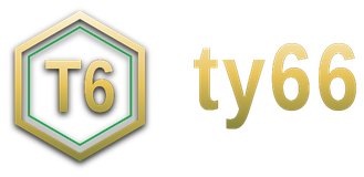 ty66 logo